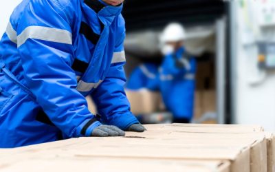 EL PRECIO DE LA ENERGÍA PONE EN PELIGRO LA VIABILIDAD DE LAS EMPRESAS DE LA LOGISTICA DEL FRIO