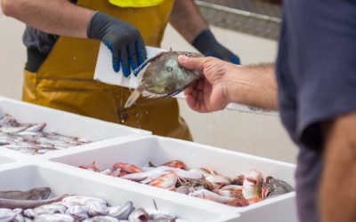 Crece la ocupación media de los almacenes hasta el 80,85%, con Canarias a la cabeza