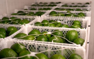 Crece la facturación del sector un 16% y se mantiene la ocupación media del trimestre anterior